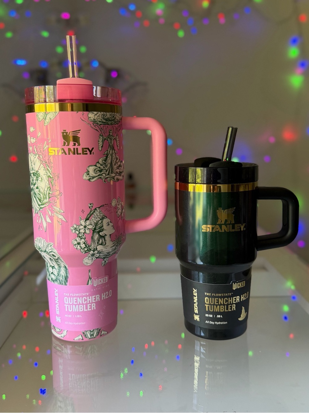 Stanley Wicked For Good OZIAN REPRISE 40 OZ + ELPHABA FOR GOOD 20 OZ Tumbler